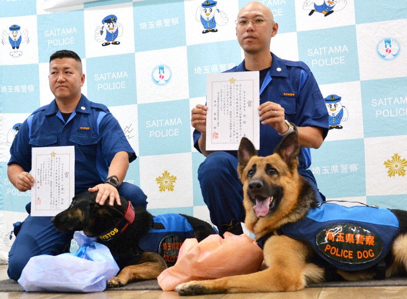 桜の御門　　P.D. 警察犬 プレート さいたま市桜区 「嘱託警察犬」の審査会／埼玉県 - YouTube