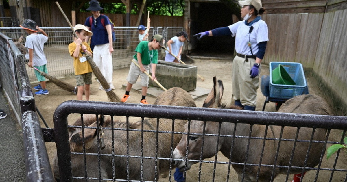 子供に命の尊さを サマースクール 宮崎市フェニックス自然動物園