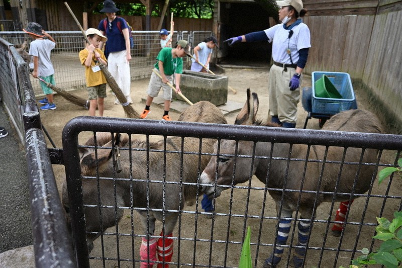 子供に命の尊さを サマースクール 宮崎市フェニックス自然動物園