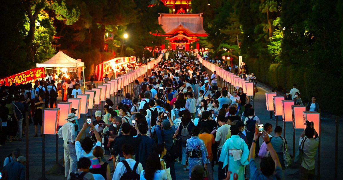 鶴岡八幡宮でぼんぼり祭 400基闇夜に浮かび 竹中直人さんら奉納 | 毎日新聞