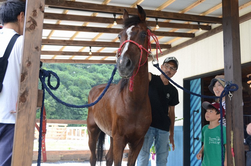 子どもの心育む老ポニーと牧場長 仙台の新天地で再スタート | 毎日新聞