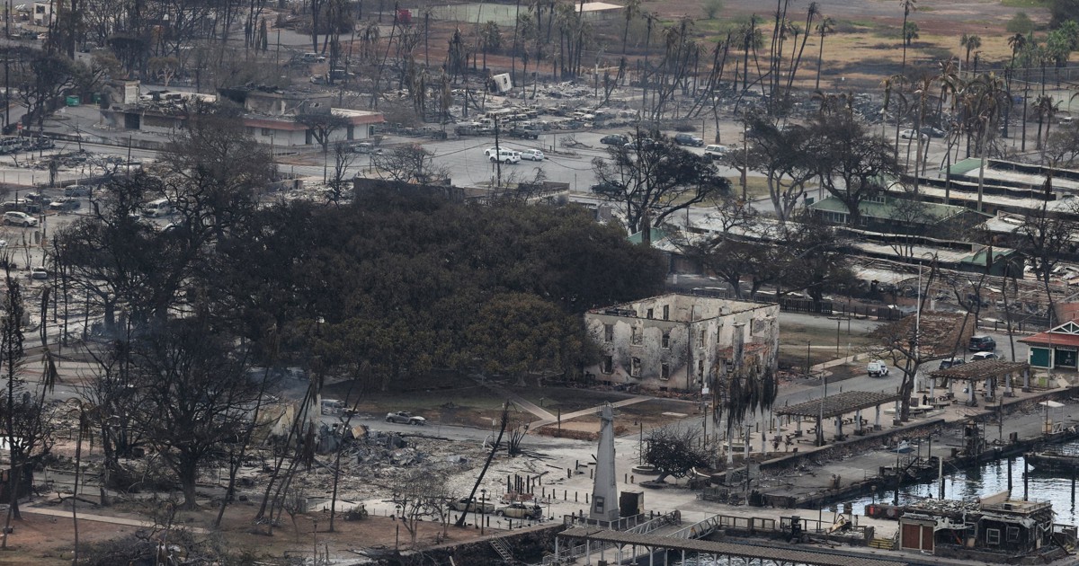 ハワイの山火事、死者55人に 8月のマウイ島は「異常乾燥」状態 | 毎日新聞