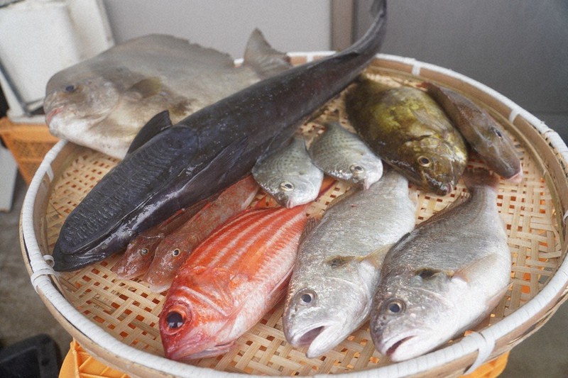 未利用魚、おいしく食べて 規格外、詰め合わせ販売 肝付の水産会社