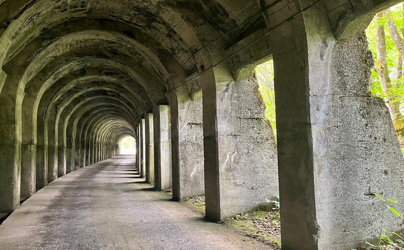 まるで神殿に迷い込んだよう 新潟の山中にあるトンネルが話題に | 毎日新聞