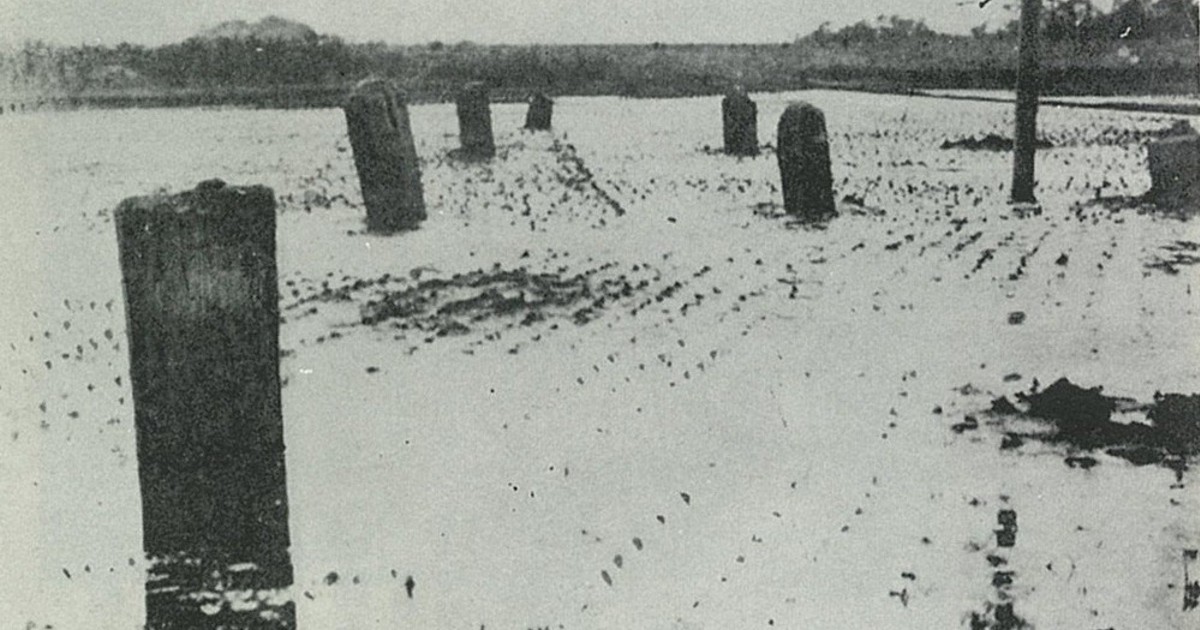 関東大震災100年：痕跡を訪ねる 神奈川・茅ケ崎 旧相模川橋脚 液状