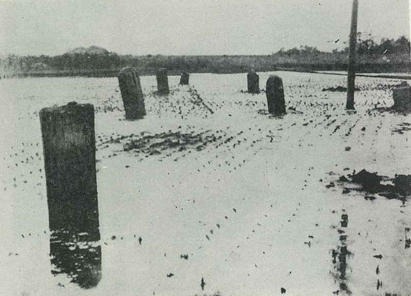 関東大震災100年：痕跡を訪ねる 神奈川・茅ケ崎 旧相模川橋脚 液状