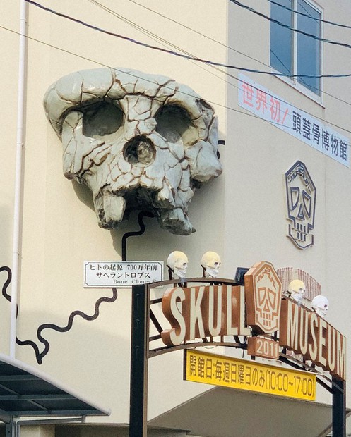 訪ねてみました：シャレコーベ・ミュージアム＝兵庫県尼崎市 ドクロ