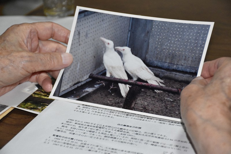 アポロンと白いカラス 真っ白なハシボソガラス 保護29年で死ぬ 手厚い飼育で異例の長寿 [写真
