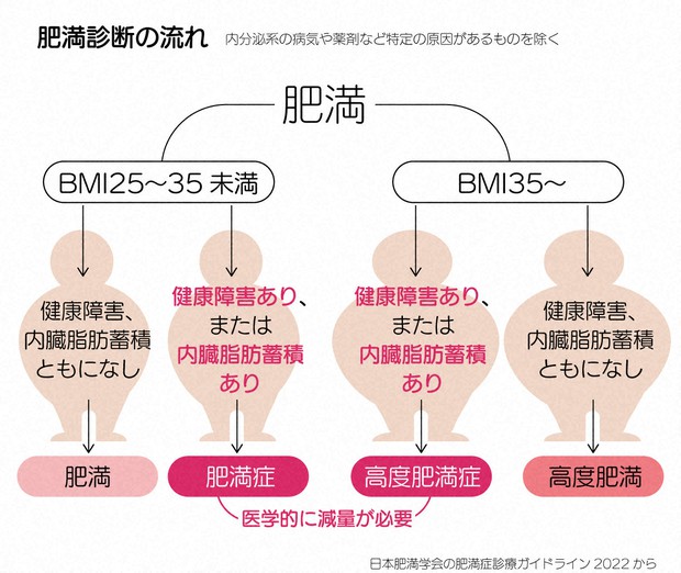肥満症　ダイエット 30年ぶりの肥満症新薬と、「メディカルダイエット」が招く弊害