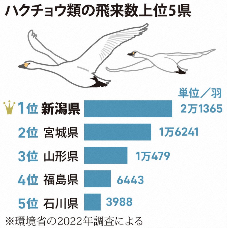 ＡＴ➖２０４ 鶏、鳩、鶴、白鳥、フクロウ 、全部まとめて 激安の投げ売りです AT➖204 鶏、鳩、鶴、白鳥、フクロウ 全部まとめて 激安の