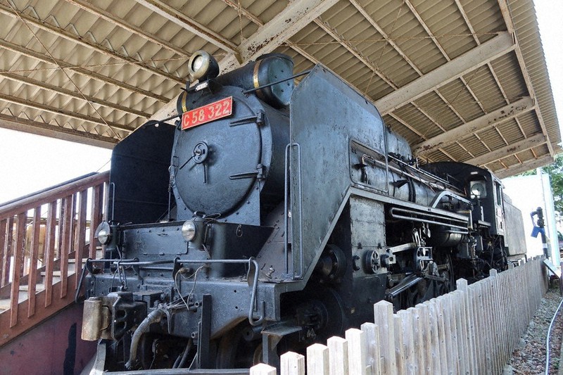 大人気のSL守れ 三島・楽寿園 覆う屋根が老朽化 市、ふるさと納税で500