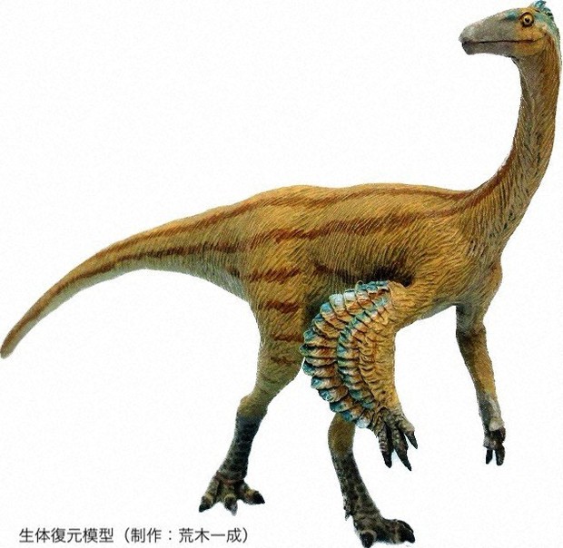 【新品未使用タグ付】おりびと半幅帯 恐竜 ティラノサウルス アンモナイト モダン バンダイ、恐竜骨格プラモ「ティラノサウル」「ストリケラトプス