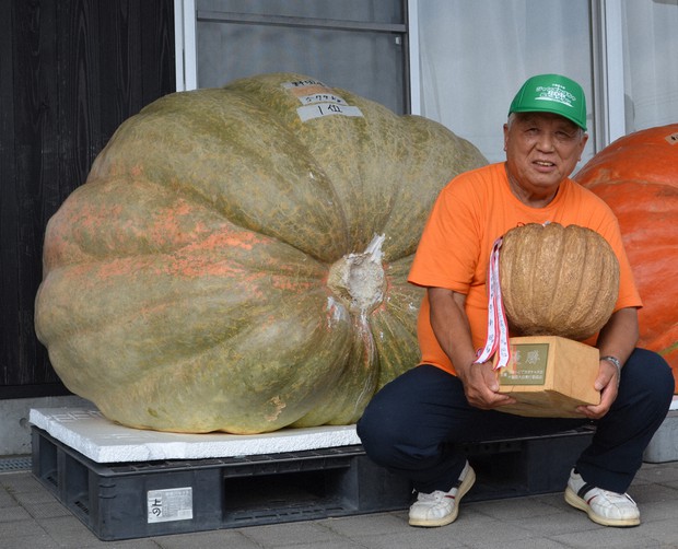 Giant 579-kg pumpkin smashes title for Japan's heaviest - The Mainichi