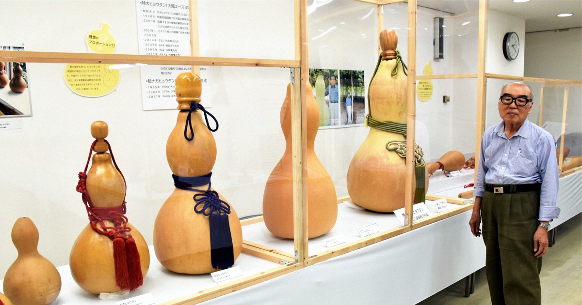 彫刻風景のひょうたん装飾品 楽天市場】【ふるさと納税】ミニ天然ひょうたんランプ ＜ひょうたん