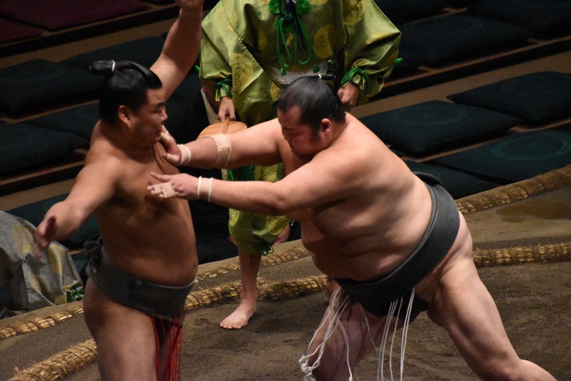 序二段の37歳、龍勢旺は経済学部の大学生 大相撲と二足のわらじ
