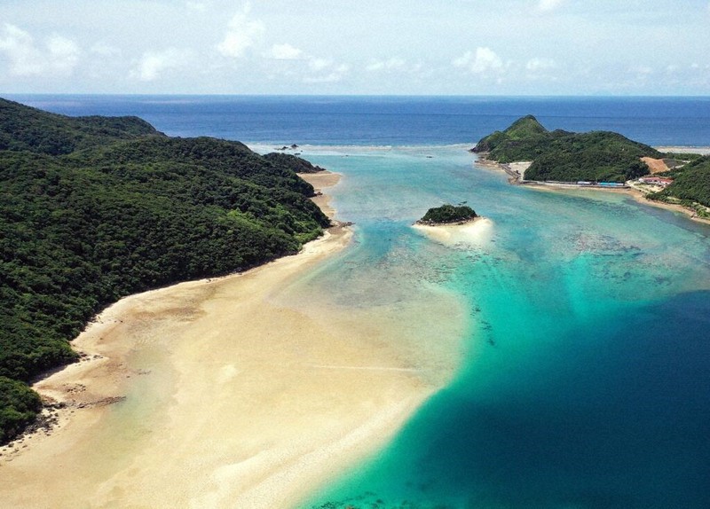 マングローブを植林する枝手久島(左)