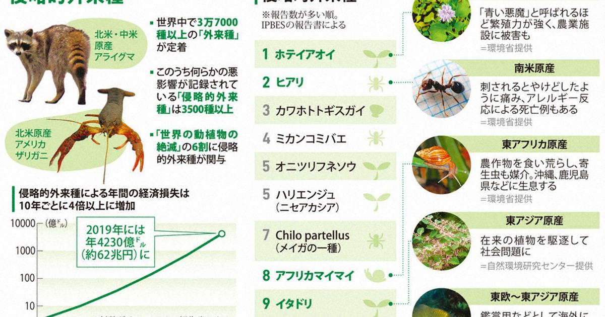 15歳のニュース 侵略的外来種 3500種以上、世界中で被害 被害や対策