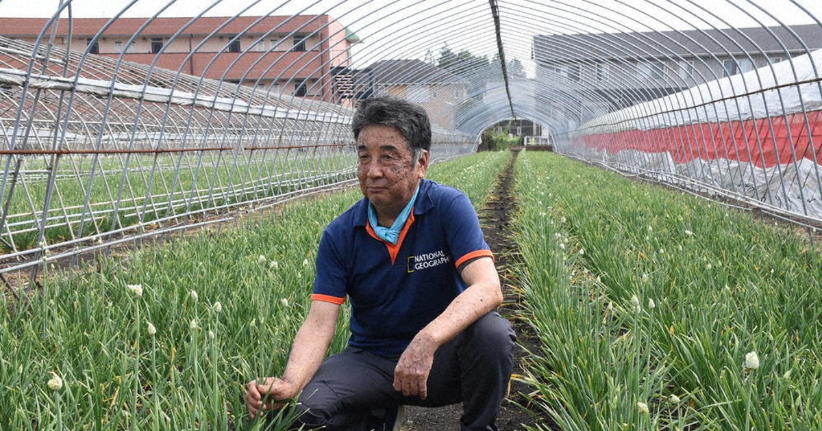ぐるっと東日本・食べる・つながる：栃木・鹿沼 ニラ生産農家 試行錯誤