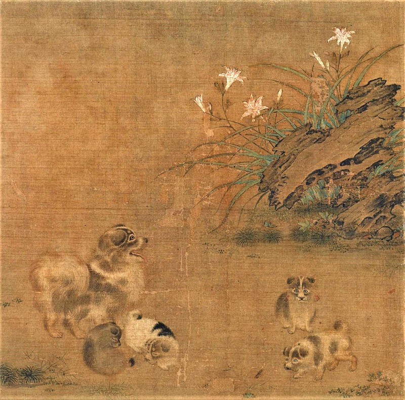 奈良市 大和文華館文化財　遊猫図と遊狗図の色紙と額縁 東アジアの犬・猫画、集結 大和文華館 7日から特別展 中国・南宋