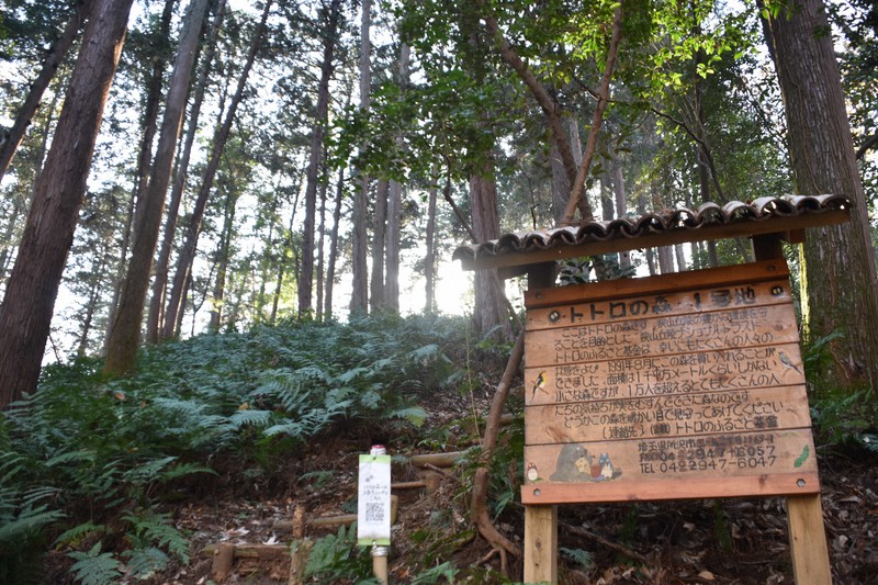 自然共生サイトに122カ所を初認定 「トトロの森」など 環境省 毎日新聞