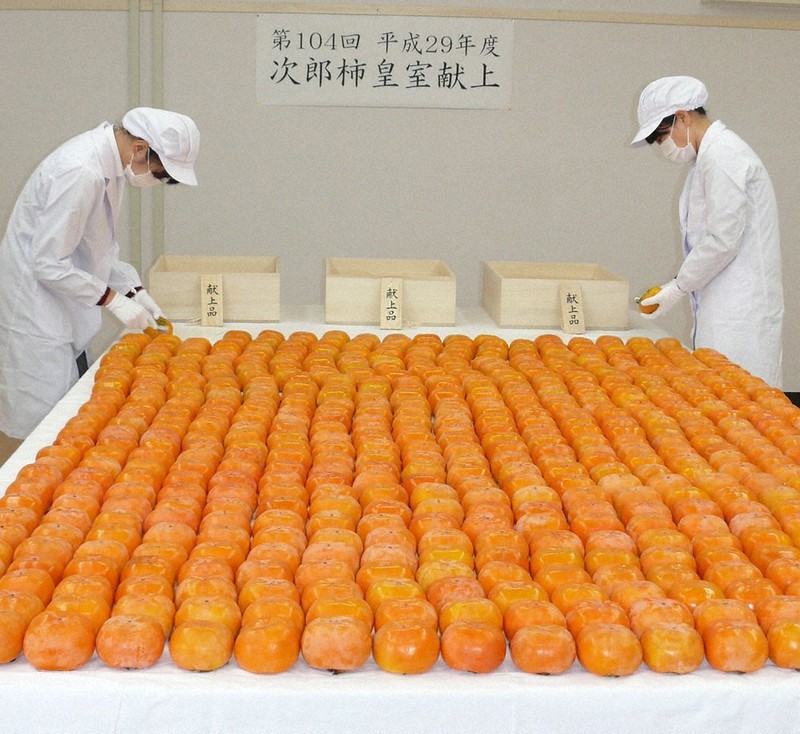 紅花の山形路　皇室献上品 皇室：皇室献上品、新規お断り 「生産者の励み」続く自治体申し出