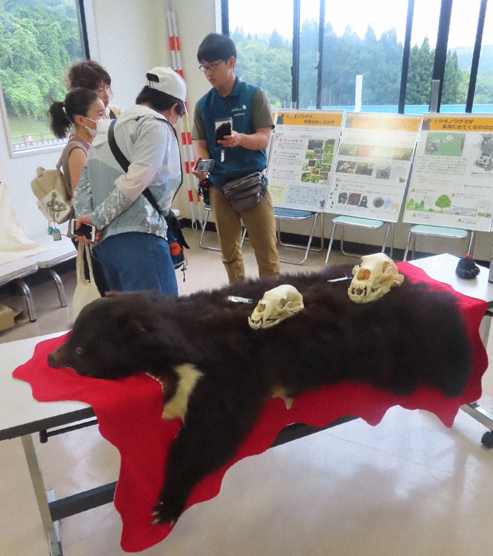 背後からいきなり」 新聞配達中、クマに襲われ重傷 対策手探り | 毎日新聞