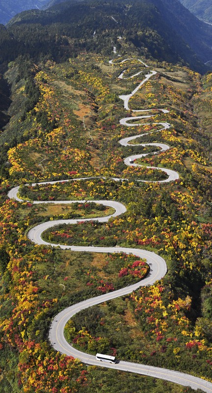 Blaze of autumn colors hits central Japan alpine route - The