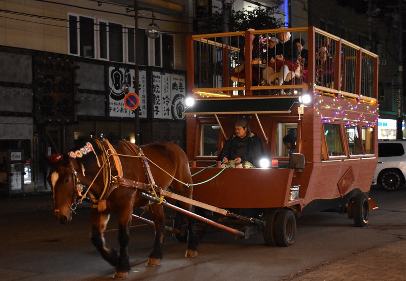 夜の帯広で馬車引く元競走馬の「コマちゃん」 十勝観光の顔に [写真