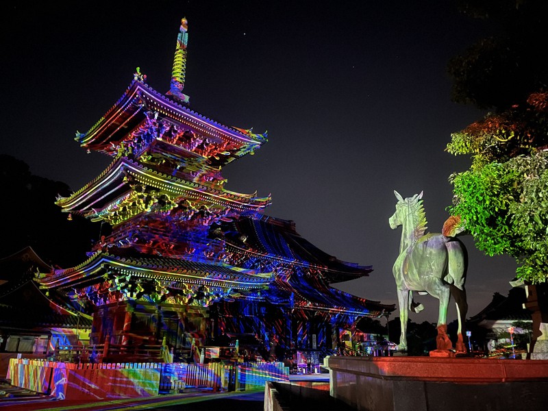 光の掛け軸 夜の本堂彩る 大阪・水間寺でデジタルアートフェス [写真
