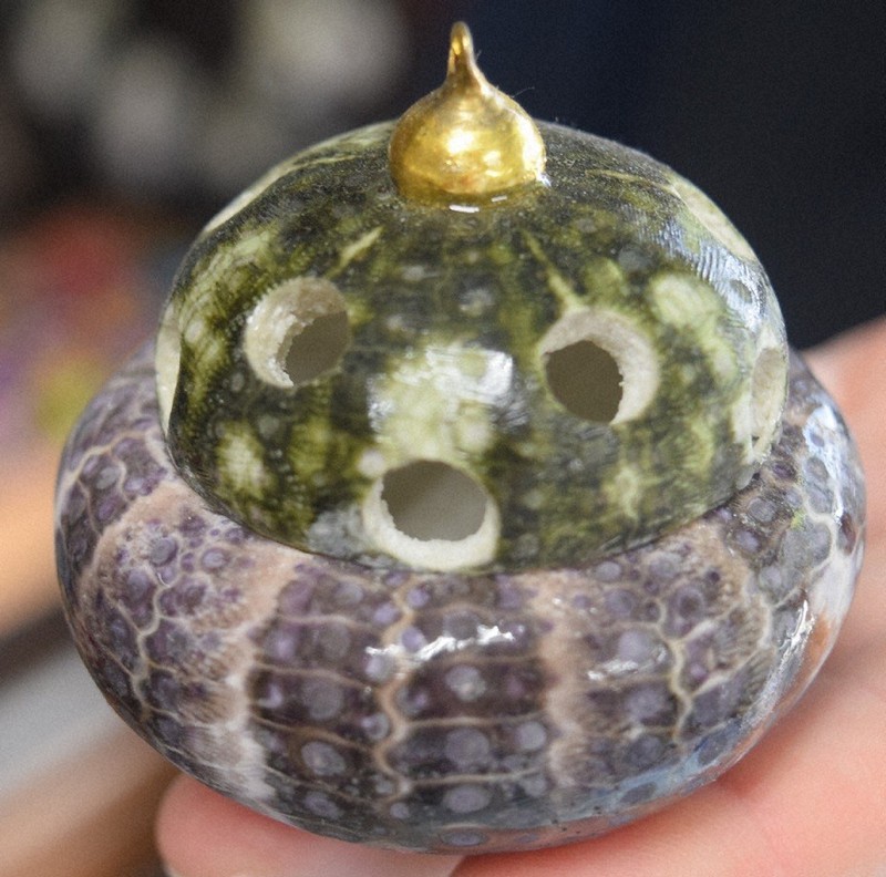 淡い紫色に ウニ殻で染めたストール、水産会社社長が考案 | 毎日新聞