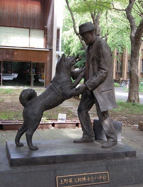 特集ワイド：生誕100年、忠犬「ハチ公」 美談、醜聞 ヒトの世映し
