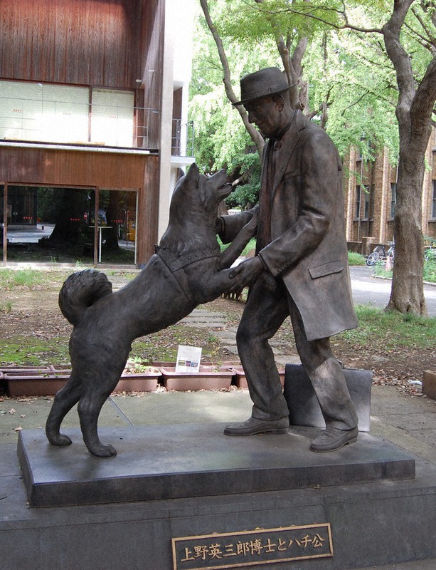 特集ワイド：生誕100年、忠犬「ハチ公」 美談、醜聞 ヒトの世映し