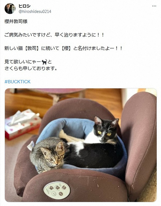 ヒロシの猫の名前は？