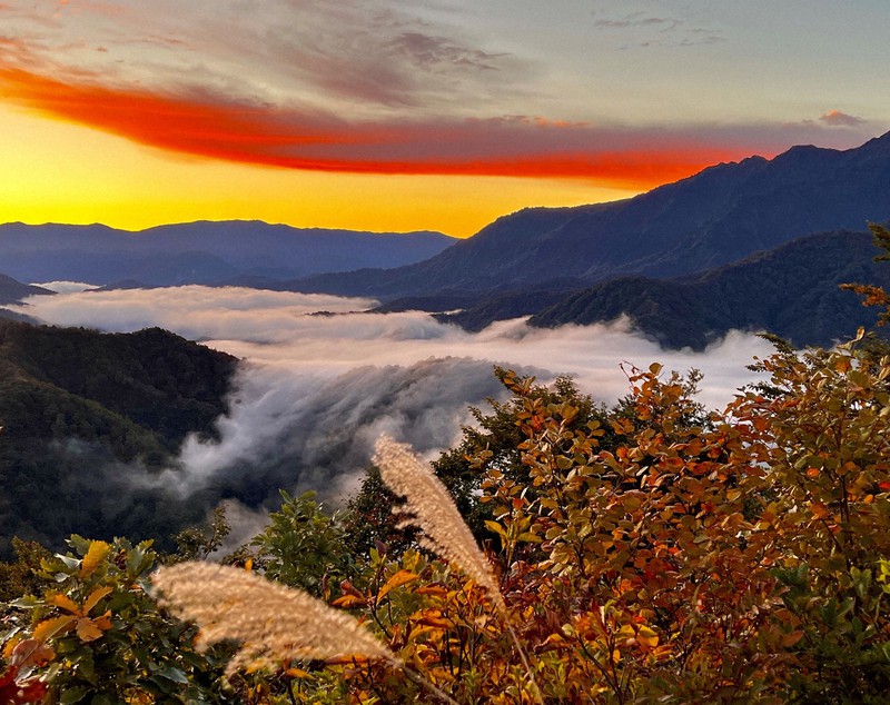 赤崩山尾根を流れ落ちる「滝雲」 新潟・魚沼の枝折峠付近で | 毎日新聞
