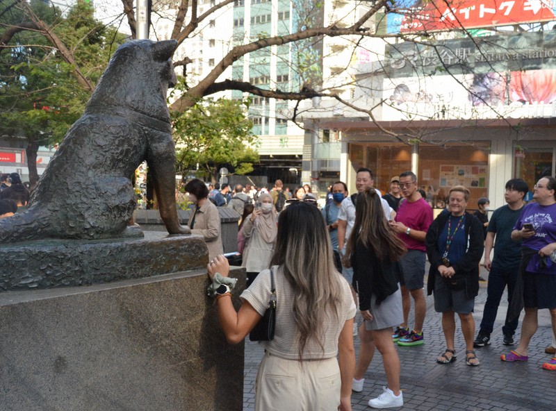 【貴重】渋谷駅100年史・忠犬ハチ公50年　記念スタンプ付 貴重】渋谷駅100年史・忠犬ハチ公50年 記念スタンプ付 コレクション