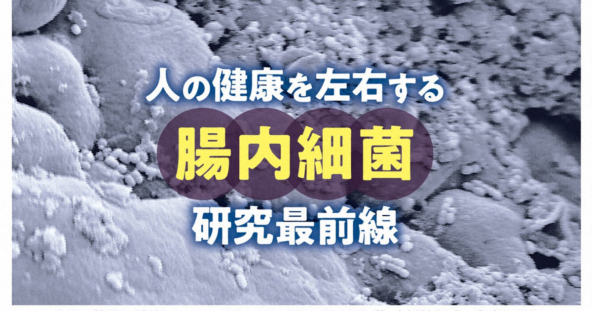 未来の子供たちに贈る100歳長寿の秘訣 : 腸と血液を浄化し、免疫力を活性化する 楽天ブックス: 未来の子供たちに贈る100歳長寿の秘訣 - 腸と血液