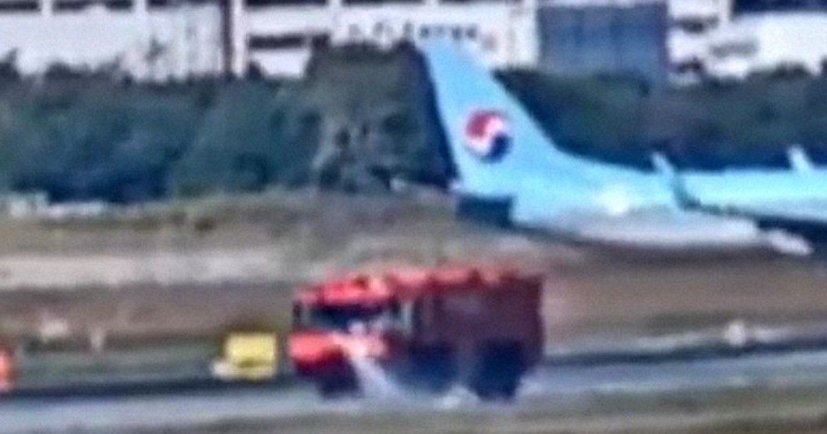 福岡空港で日航機に鳥衝突 滑走路1時間閉鎖 12便が他空港へ /福岡 毎日新聞