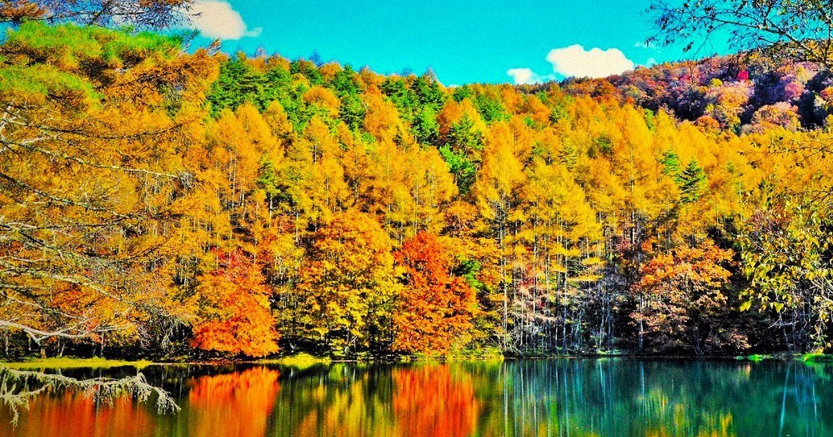 水面ゆれる幻想の秋 御射鹿池 諏訪では柿すだれ ／長野 | 毎日新聞