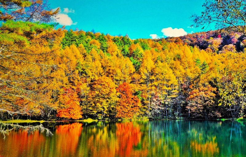 水面ゆれる幻想の秋 御射鹿池 諏訪では柿すだれ ／長野 | 毎日新聞