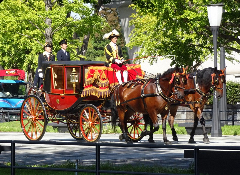   er 79306 {X XR݂Ȃ݂̃X[p[˂ ->摜>19 