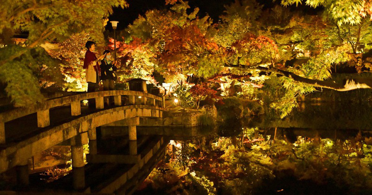 宗 イベコレ 2023 autumn Autumn in Japan is so beautiful! ZEKKEI's Captivating Fall