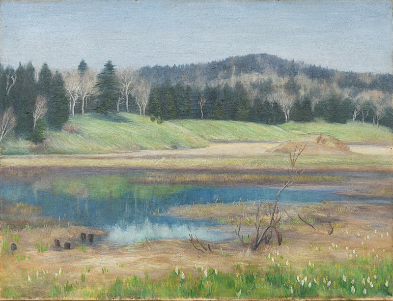 森田恒友、「尾瀬沼新緑」、希少な画集より、新品高級額・額装付 森田恒友・大野百樹 熊谷ゆかりの画家、企画展 市立図書館で12月3日