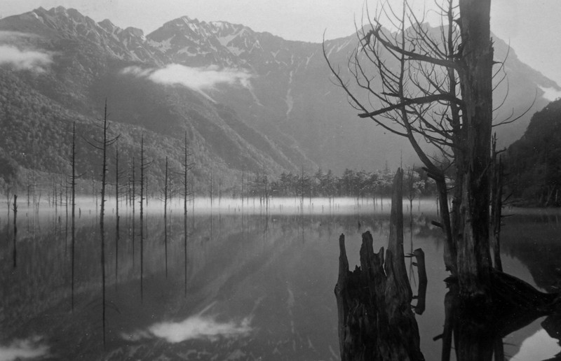 かわりゆく景観、上高地・大正池 [写真特集1/14] | 毎日新聞