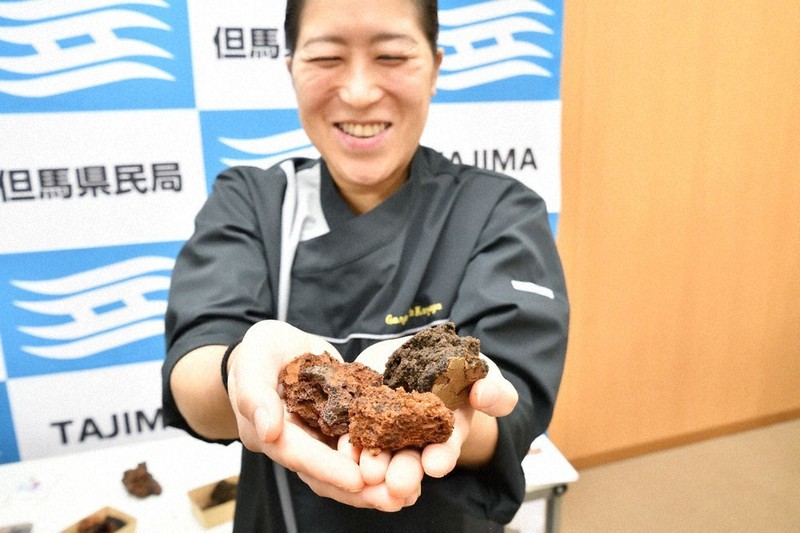 スコリア」甘く変身 溶岩の形状、チョコブラウニーに 山陰海岸