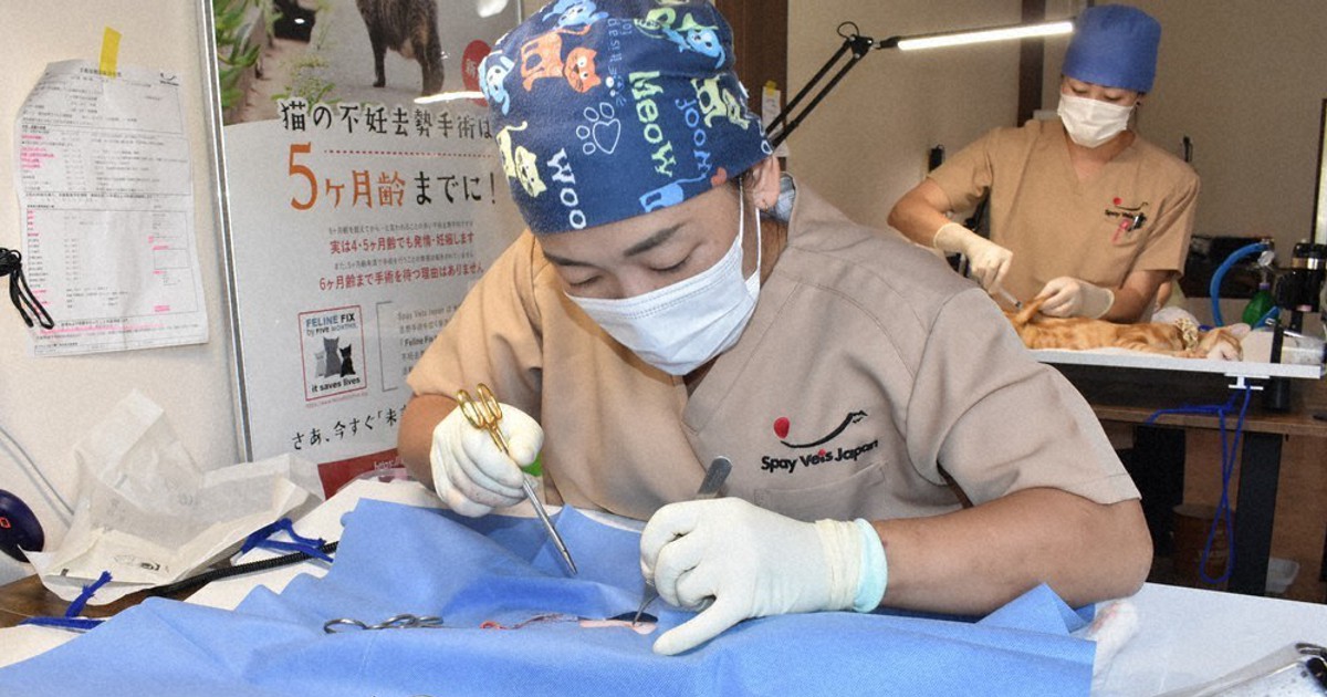小動物外科手術 上 不幸な犬猫減らそう 不妊去勢手術に特化「繁殖予防」動物病院が開院