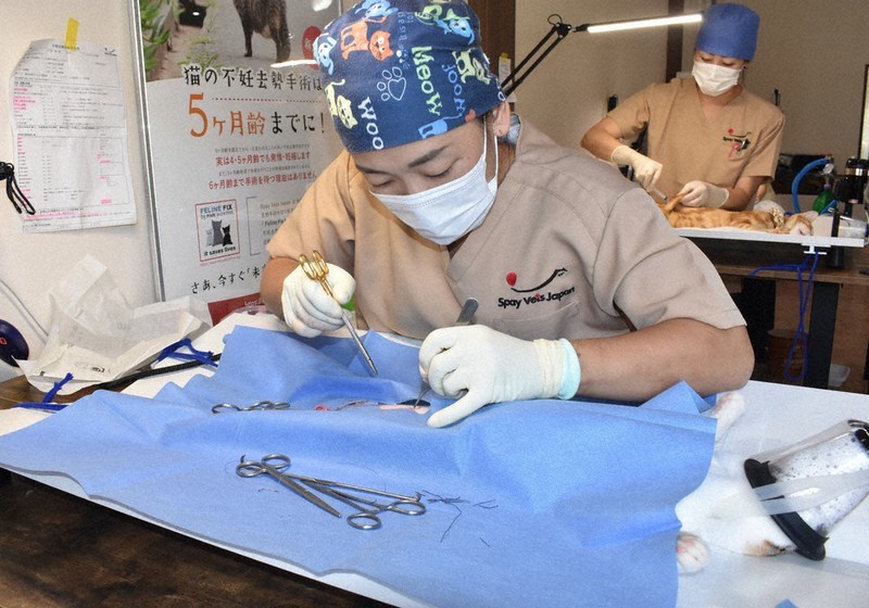 不幸な犬猫減らそう 不妊去勢手術に特化「繁殖予防」動物病院が開院