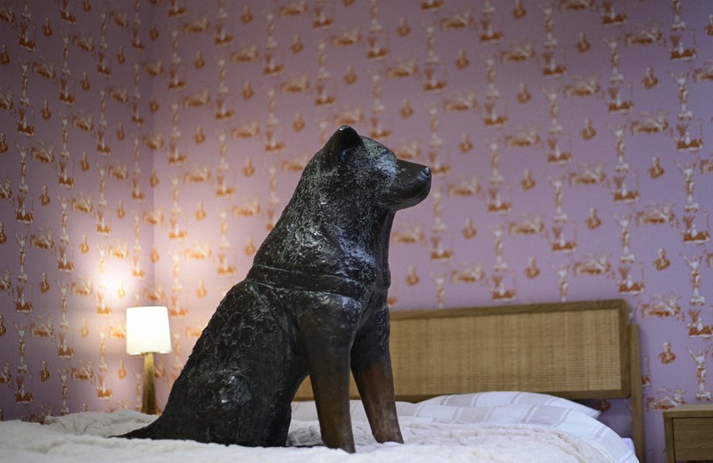 生誕100年 海外にも銅像 「忠犬ハチ公」はどんな犬？ | 毎日新聞