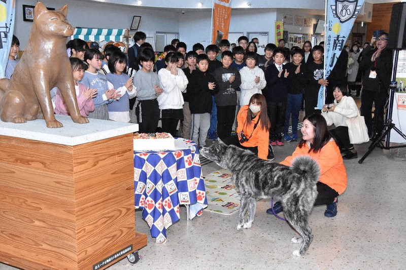 ハチ100歳おめでとう 大館で生誕祭 児童の歌やケーキで祝う ／秋田