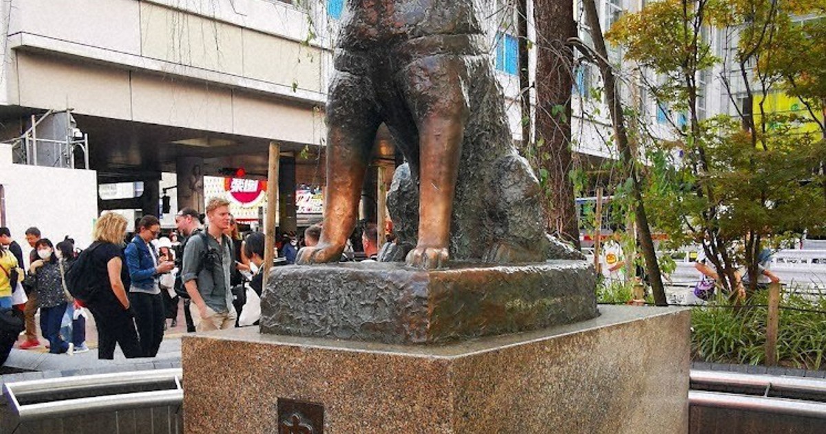 ニュース知りたいんジャー：ハチ公生誕100年 | 毎日新聞