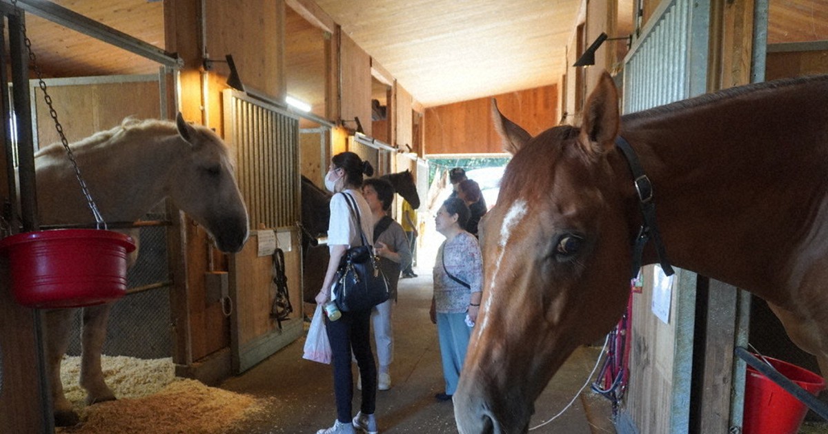 スポーツの今：地域から 人と馬、福祉で共生を 負傷した引退馬を支援